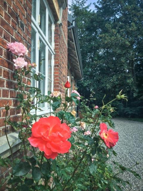 Rotzowlund Bnb Grenaa Exterior photo